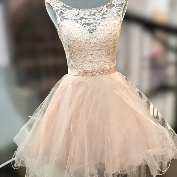 🌐 Madeline Gardner Mori Lee US 4 Blush tulle formal dress