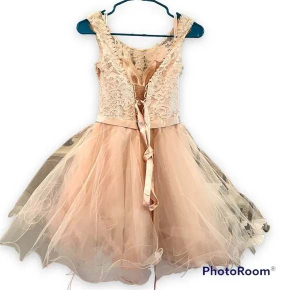 🌐 Madeline Gardner Mori Lee US 4 Blush tulle formal dress