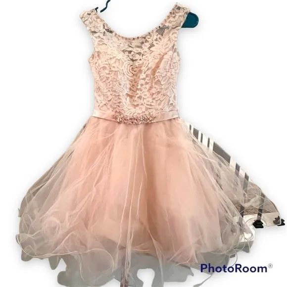 🌐 Madeline Gardner Mori Lee US 4 Blush tulle formal dress