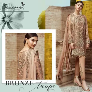 Beutiful Serene Chiffon Dress Model# C 1637