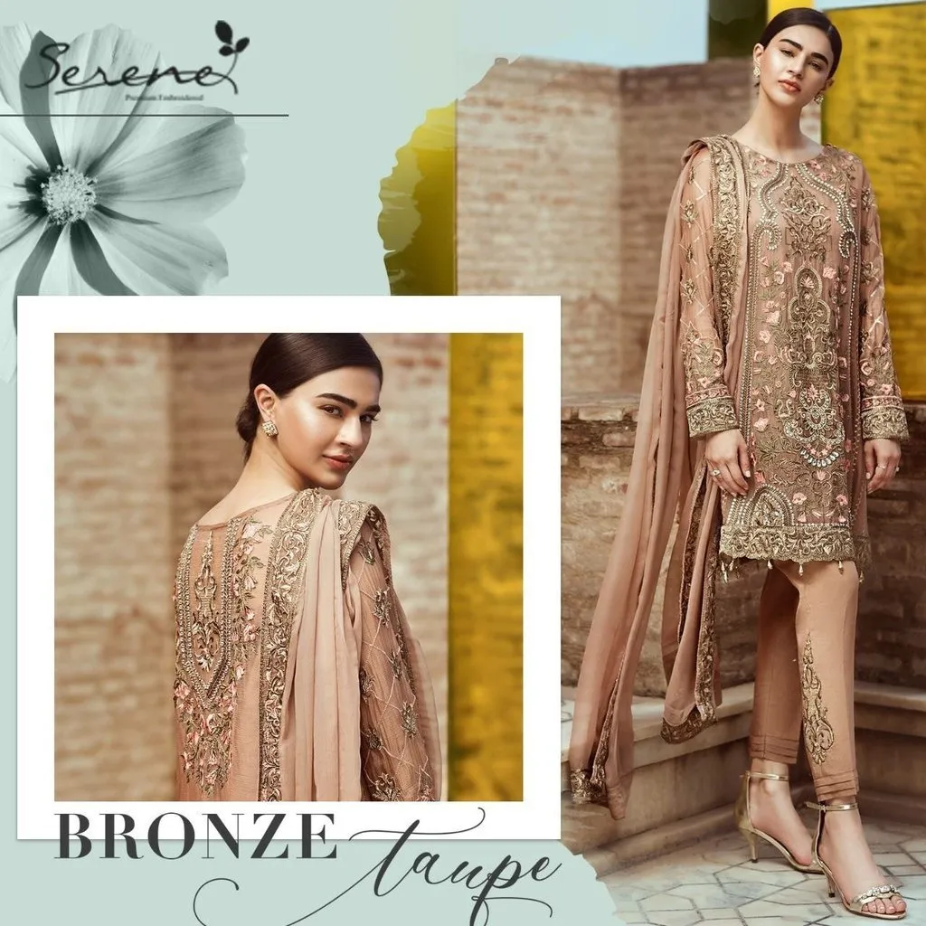 Beutiful Serene Chiffon Dress Model# C 1637
