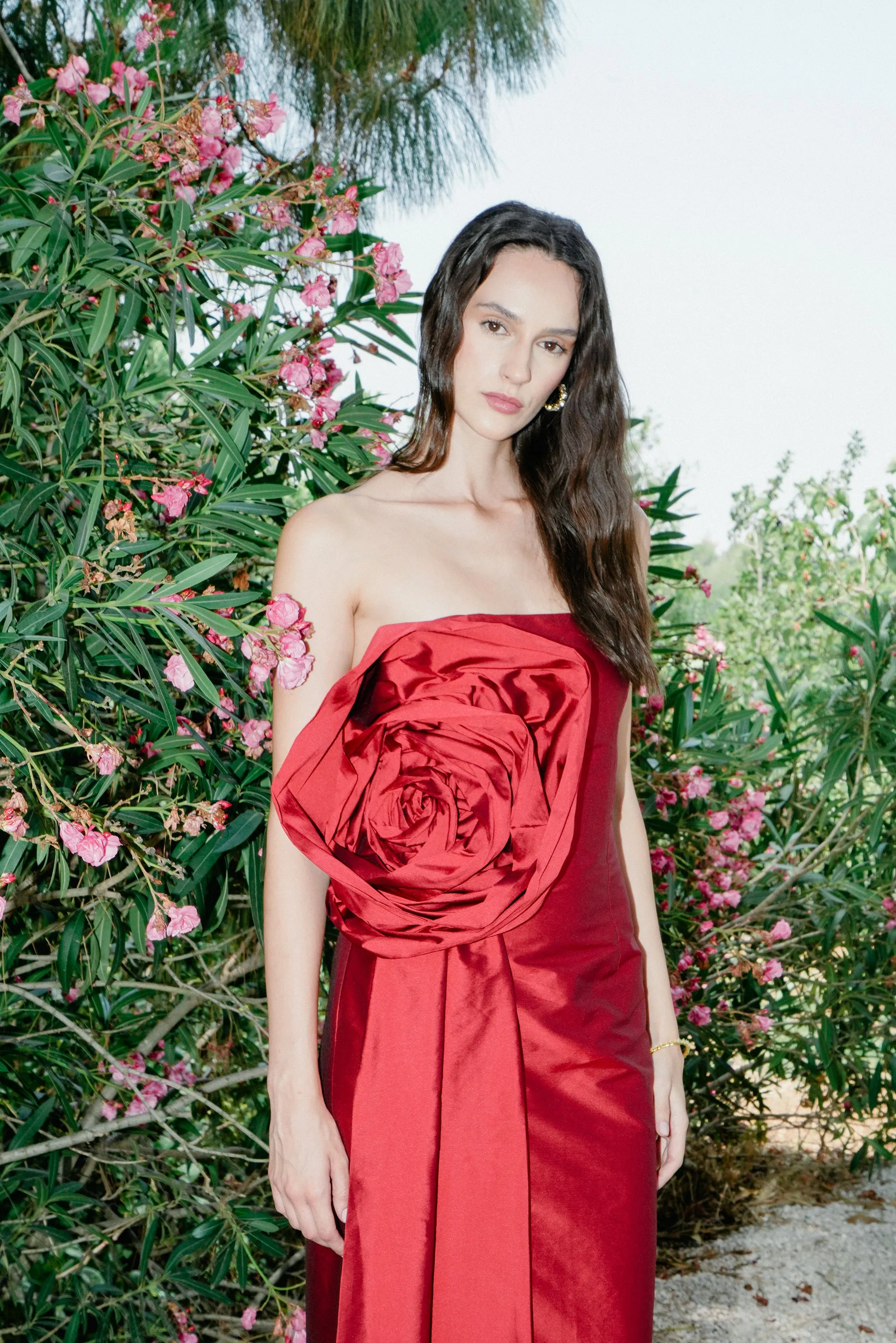 Epine De Rose Long Dress