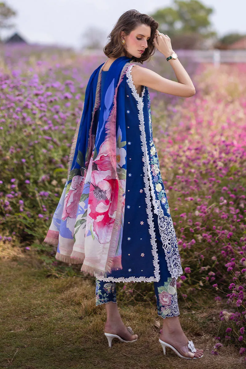 MUSHQ | THE SECRET GARDEN | BLUE MORPHO