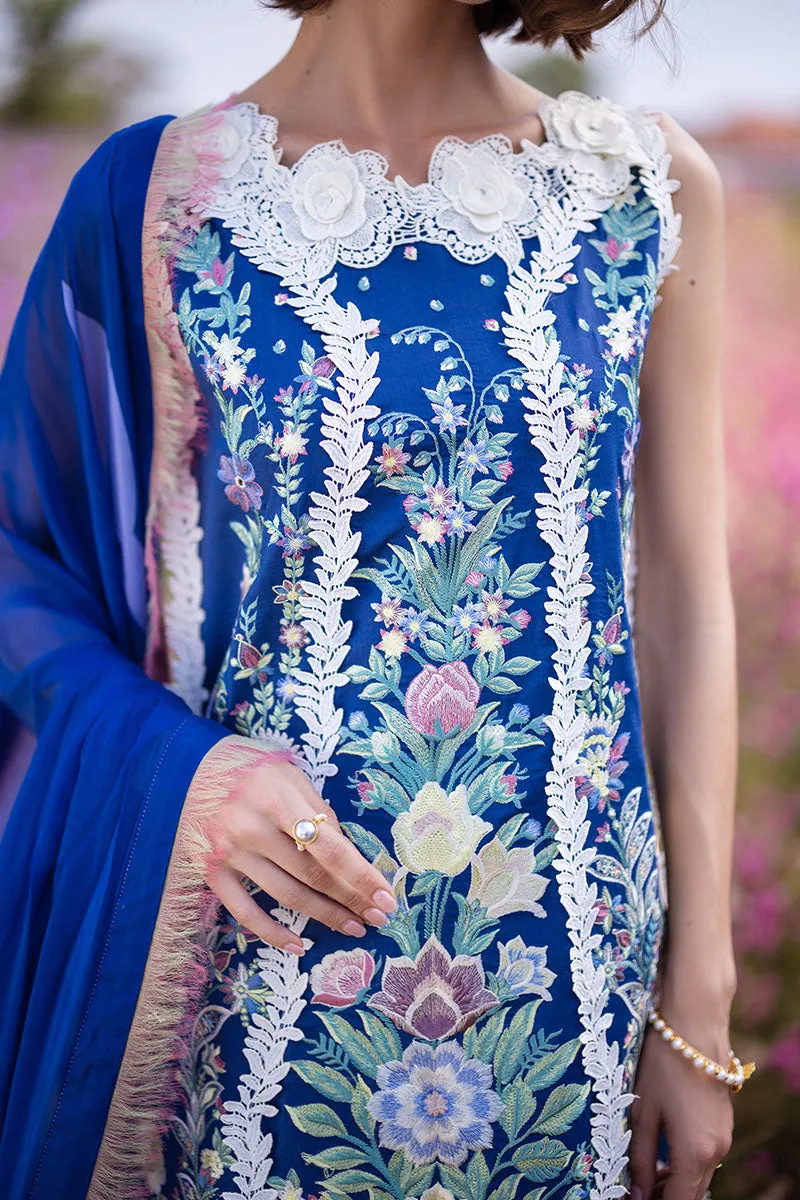 MUSHQ | THE SECRET GARDEN | BLUE MORPHO