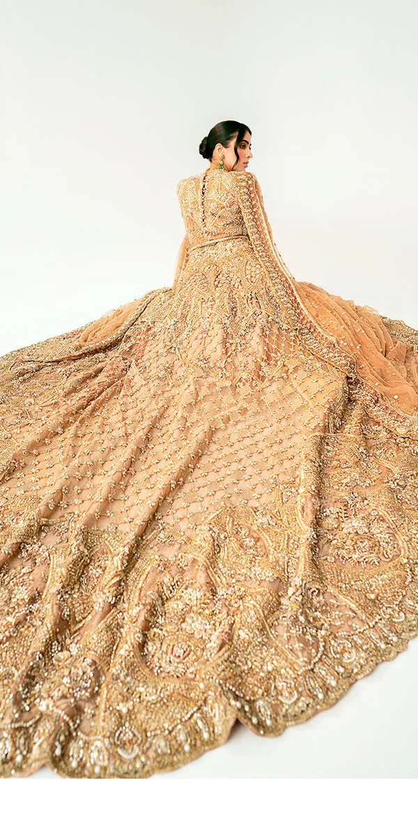 Pakistani Bridal Outfit in Long Tail Gown Dupatta Style