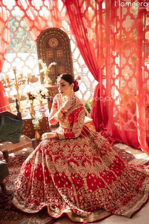Pakistani Skirt Lehenga with Crop Top Choli #BN1012
