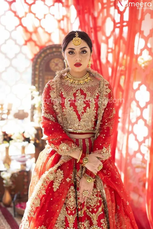 Pakistani Skirt Lehenga with Crop Top Choli #BN1012