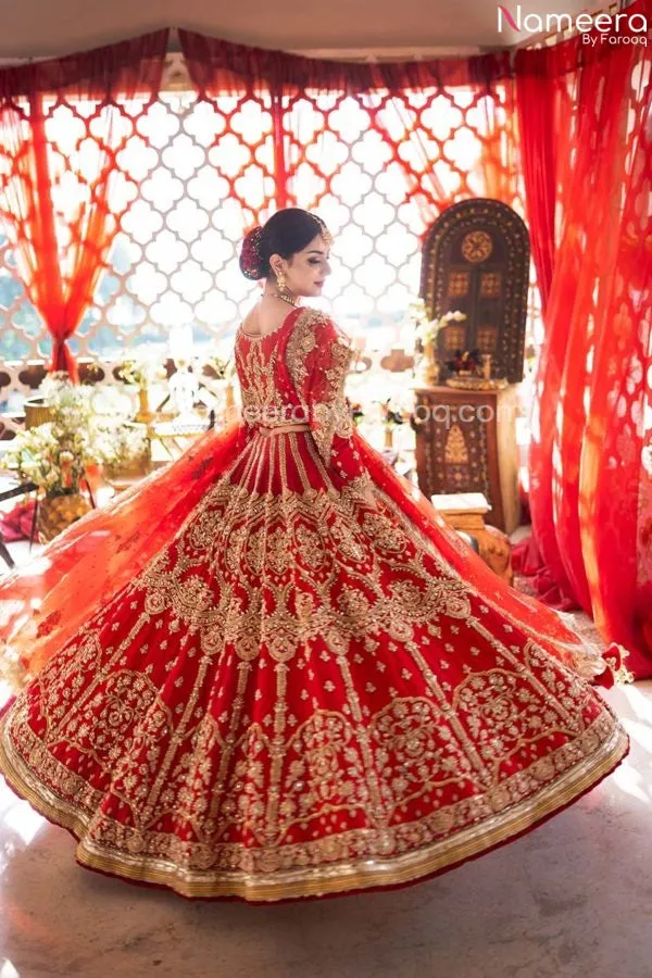Pakistani Skirt Lehenga with Crop Top Choli #BN1012