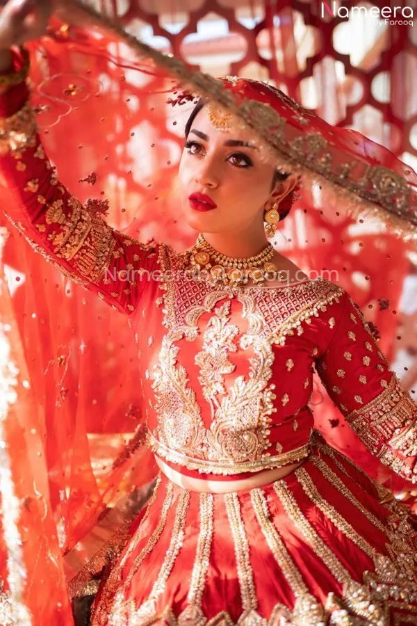 Pakistani Skirt Lehenga with Crop Top Choli #BN1012