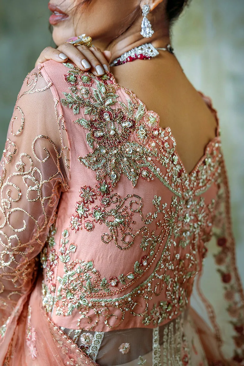Pakistani Wedding Dress in Net Pishwas Lehenga Style