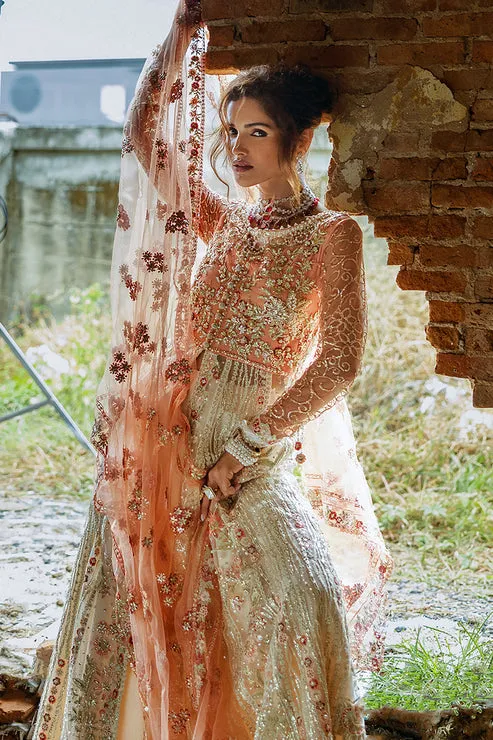 Pakistani Wedding Dress in Net Pishwas Lehenga Style