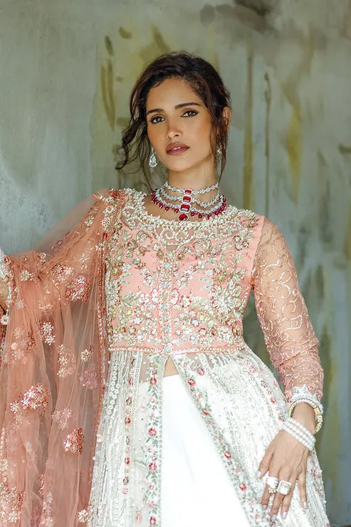 Pakistani Wedding Dress in Net Pishwas Lehenga Style