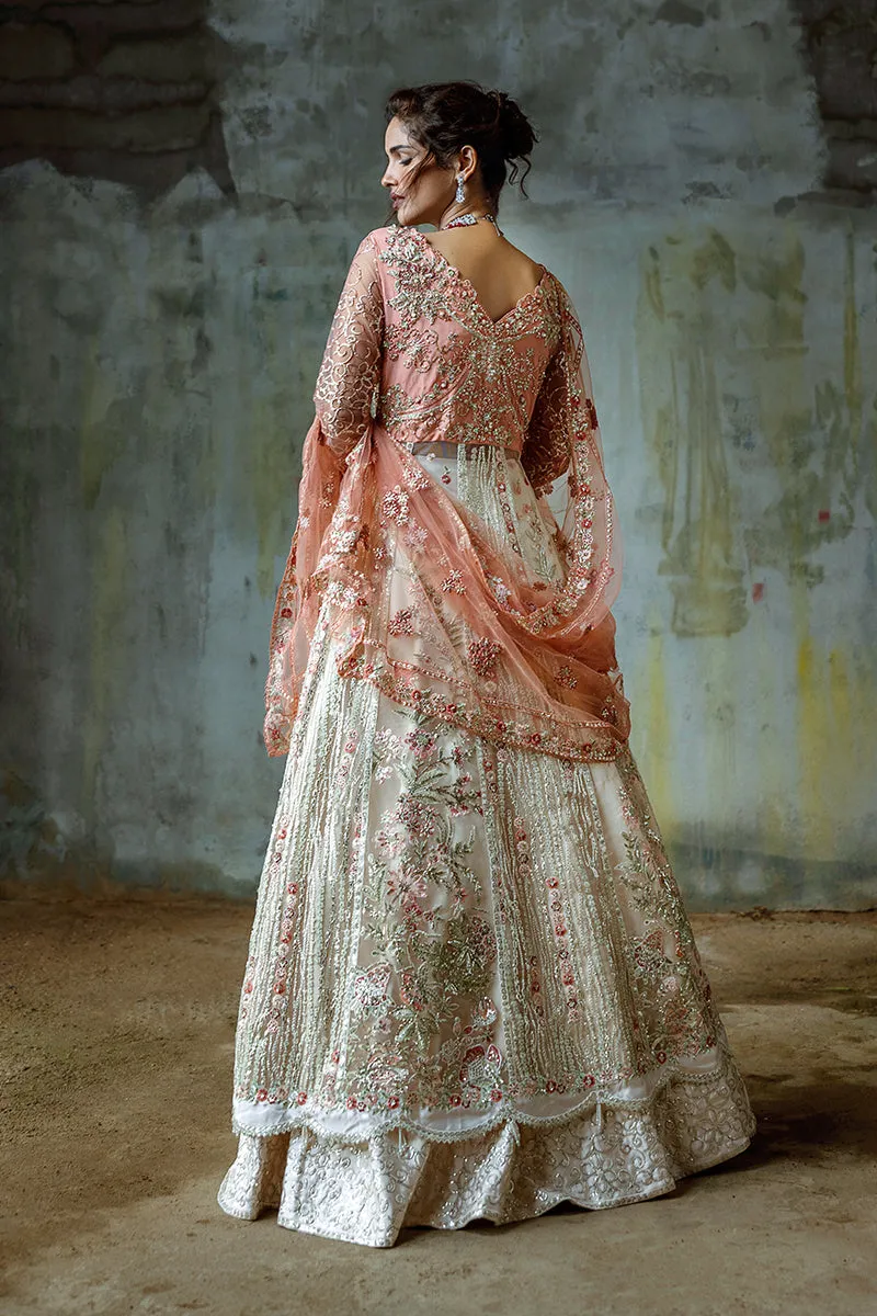 Pakistani Wedding Dress in Net Pishwas Lehenga Style