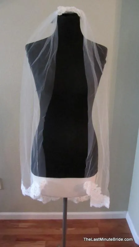 Paloma Blanca Bridal Veil Style: V419F