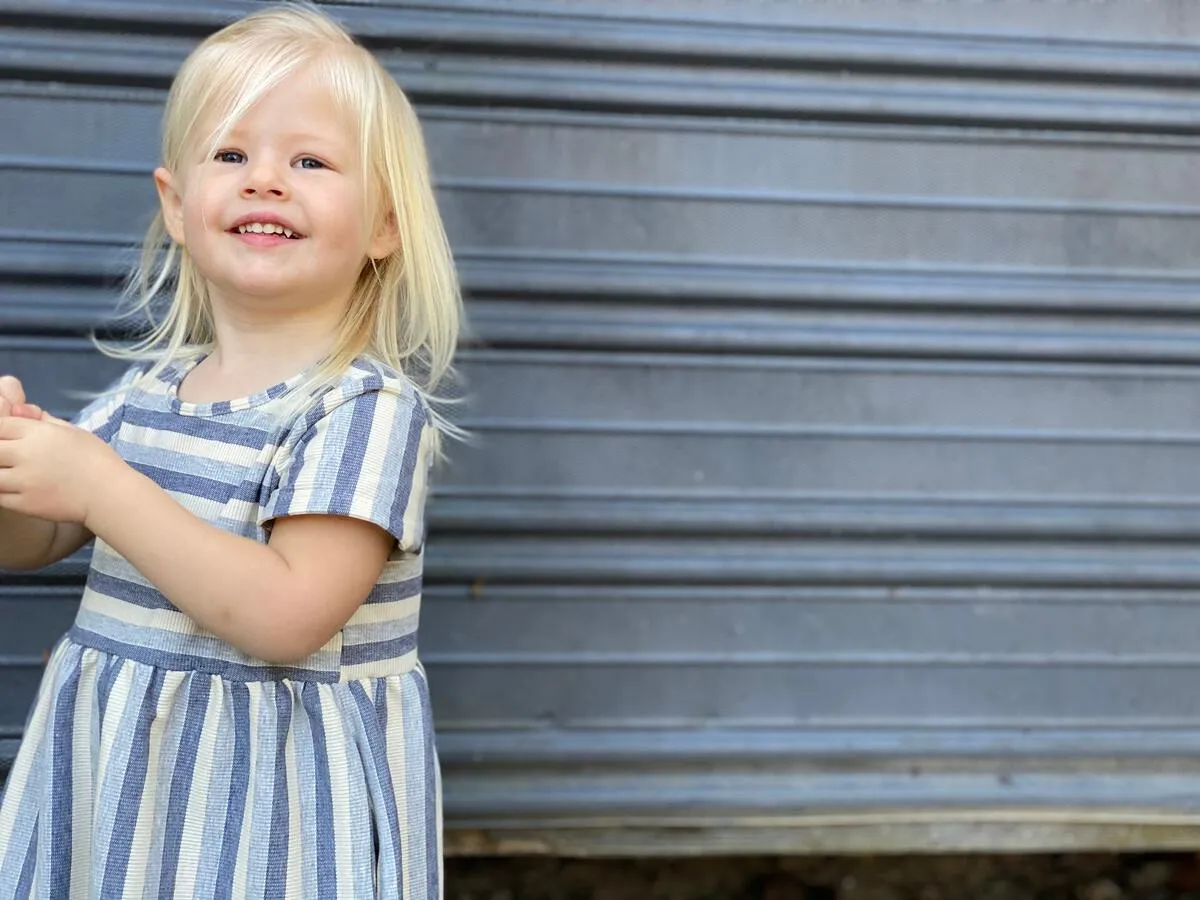 Vignette Stripe Claire Dress